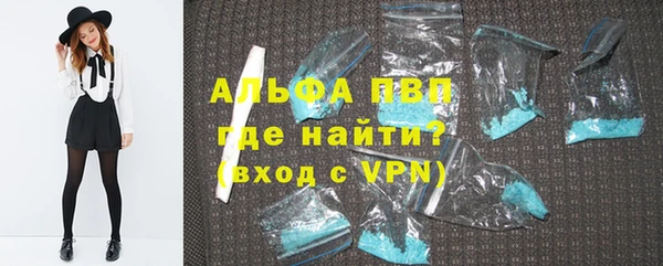 хмурый Болотное